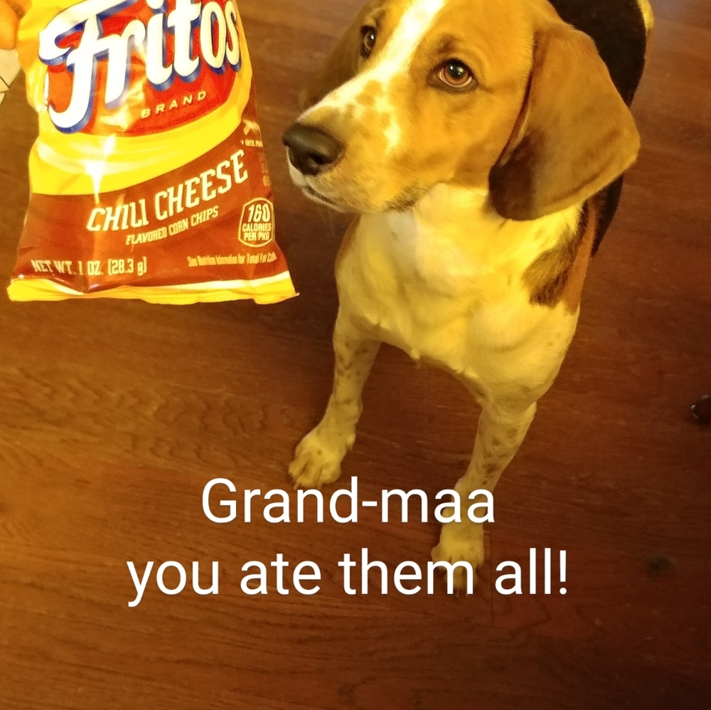 FREE handful of Fritos with bundle - Picture 2 of 3